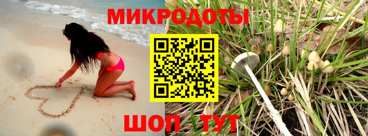 Псилоцибиновые грибы Psilocybine cubensis Алатырь